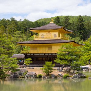 전 연령 (만 2세 이상)
