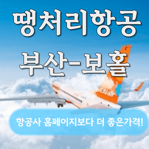부산-보홀 항공권 3박5일