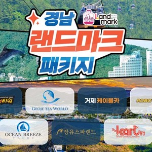 원픽 입장권 1인권