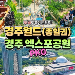 종일권+엑스포PKG 소인