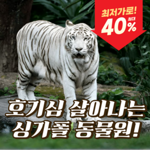 아동(만 3-12세)