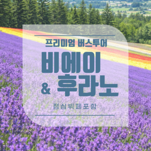 (성인/소아 동일) 삿포로 비에이/후라노 프리미엄 1일투어 ★점심뷔페 & 바움쿠헨 증정★
