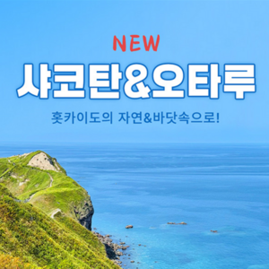 (1인)북해도 샤코탄&오타루 1일 버스투어