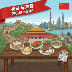 중국 무제한 이심 3일