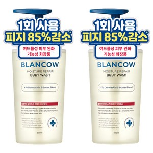 블랑카우 BHA 여드름 기능성 바디워시, 2개, 500ml