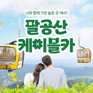 왕복 이용권