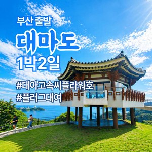 성인 (만 12세 이상)