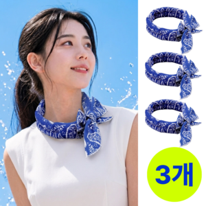 리움원 냉동 쿨스카프 넥쿨러 아이스 목도리, 3개, 아쿠아블루