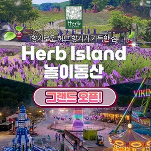 빅2(바이킹+회전그네)+입장권 1인권