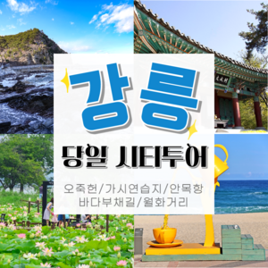1인 요금