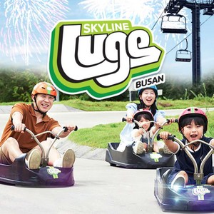 루지/스카이라이드 4회권 1인권