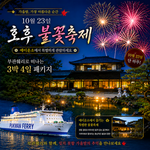 부관훼리2박3일 왕복승선권