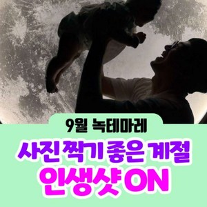 종합권 어린이