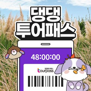 댕댕투어패스 24시간권
