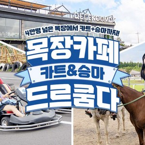 카트(15분) 1인권