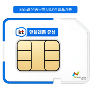 앤텔레콤 알뜰폰 선불폰(SK.KT.LG) 한국 선불유심 USIM kt선불요금제, 1개, 30일, 무제한