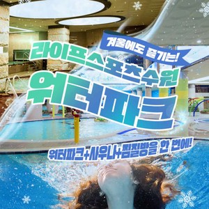 입장권 대인